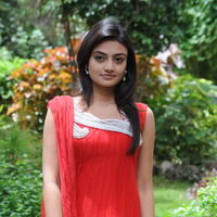 Nikitha Narayan New Pictures | Picture 68843